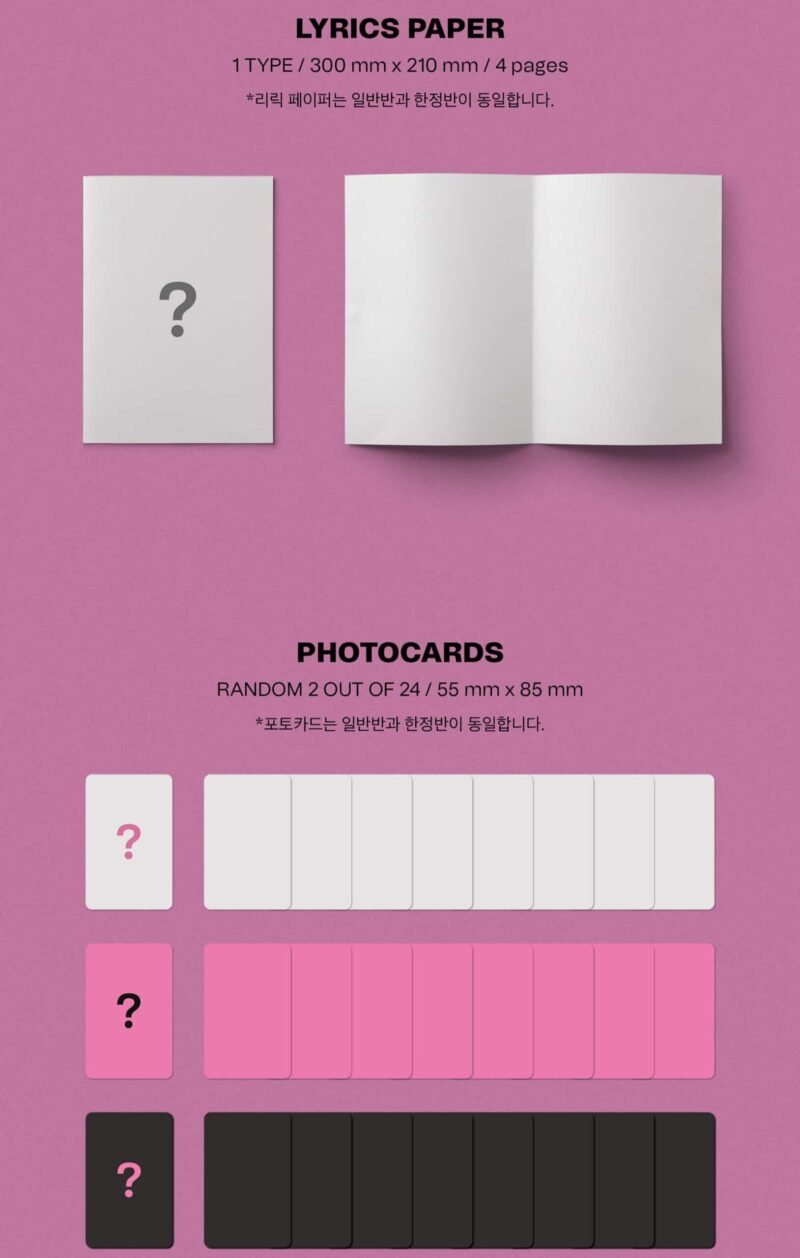 STRAY KIDS – MAXIDENT STANDARD ALBUM