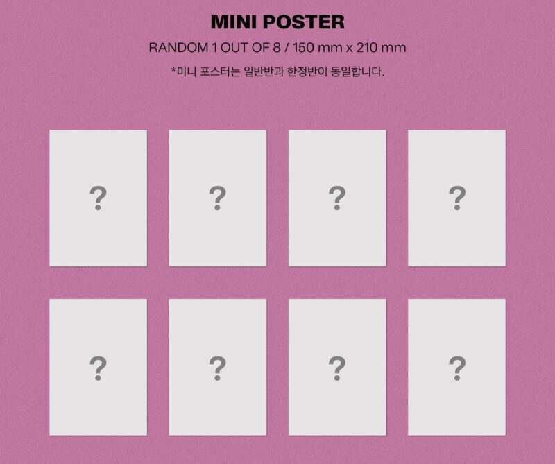 STRAY KIDS – MAXIDENT STANDARD ALBUM